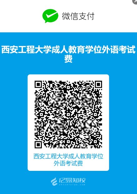 教学动态