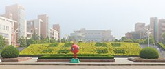 通知公告
